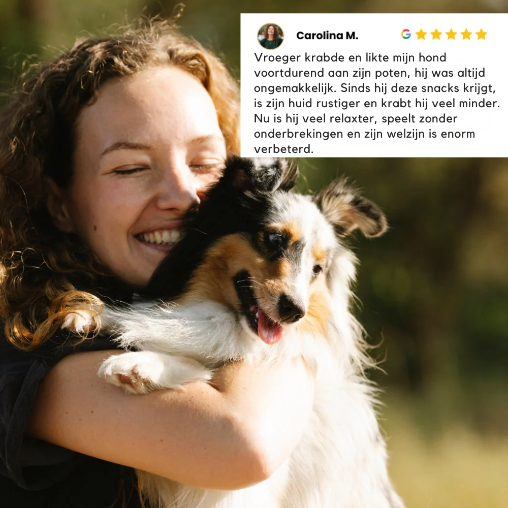 HondPuur - Blije Buik & Sterke Weerstand - Medicijn In Poedervorm