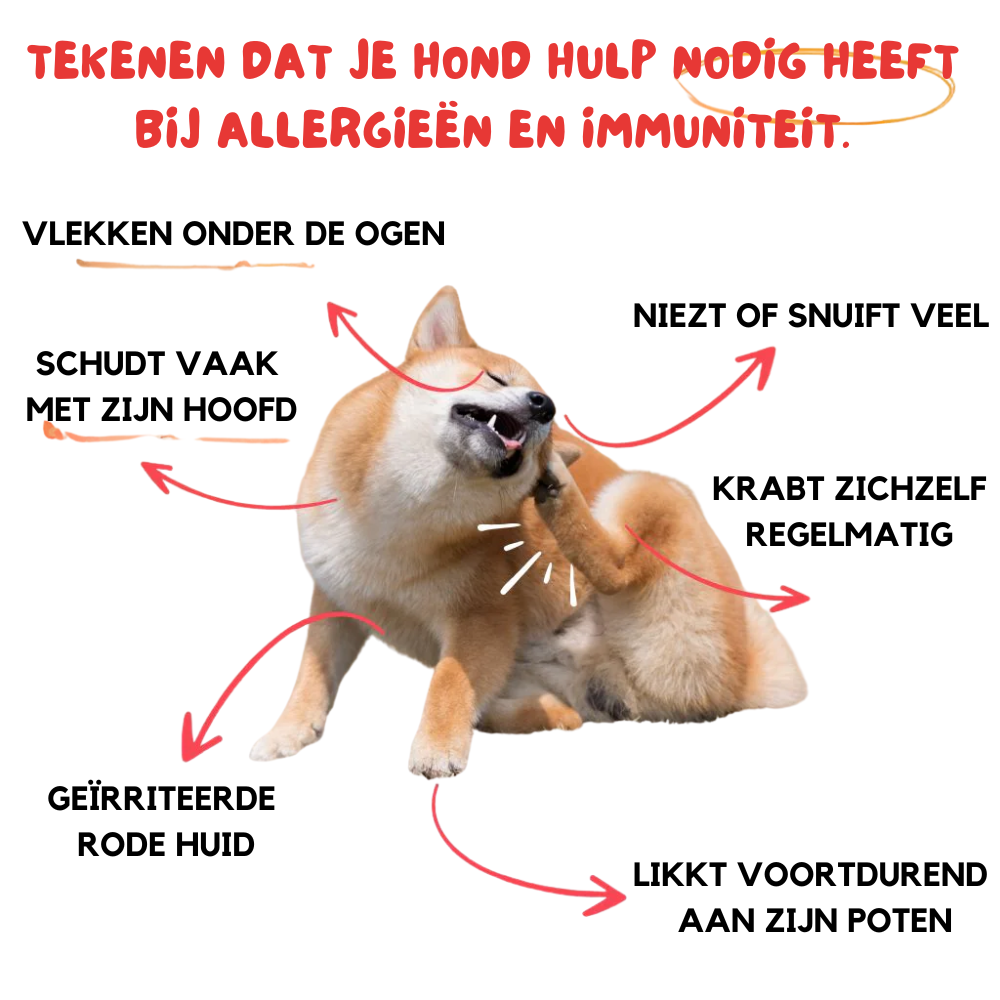 HondPuur - Blije Buik & Sterke Weerstand - Medicijn In Poedervorm